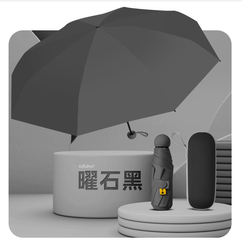 EU360115 with Carrying Case (3)