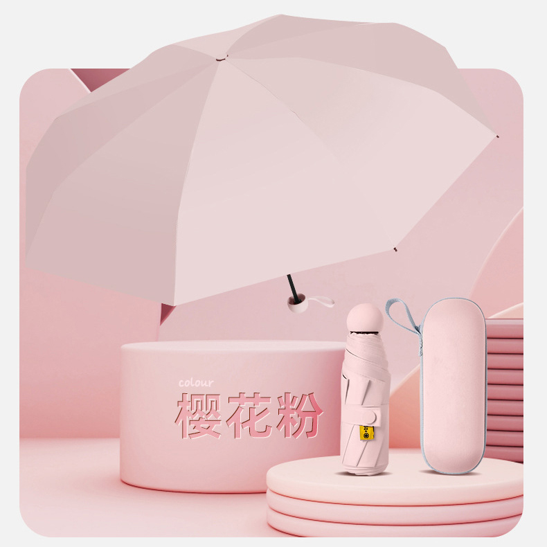 EU360115 with Carrying Case (1)